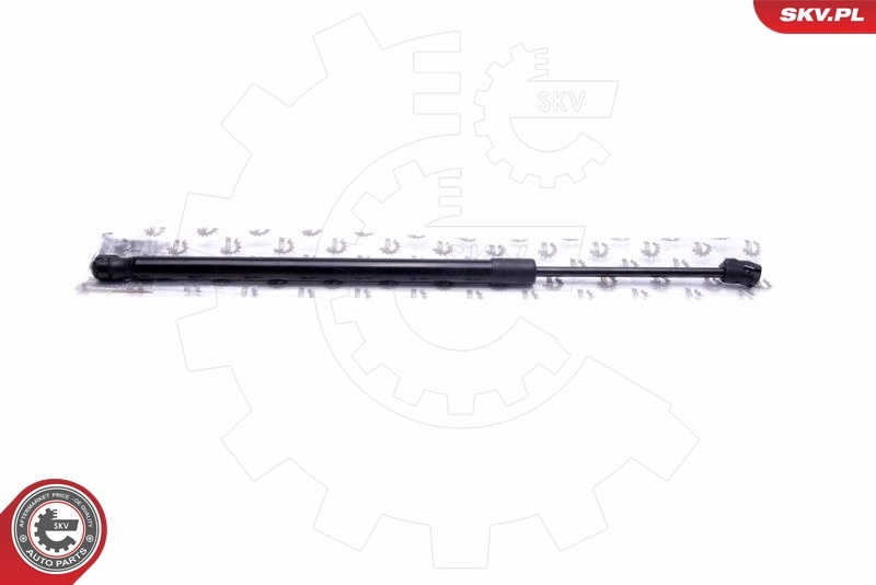 Gas Spring, boot/cargo area